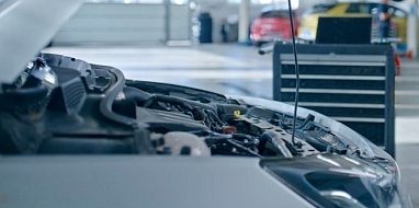 Обработка автомобиля от крыс